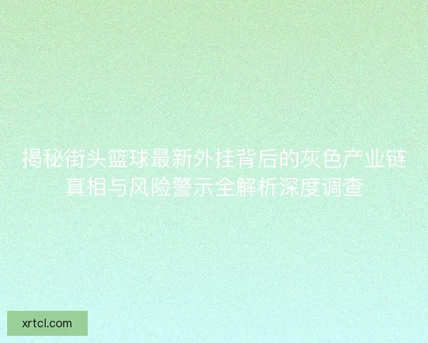 揭秘街头篮球最新外挂背后的灰色产业链真相与风险警示全解析深度调查
